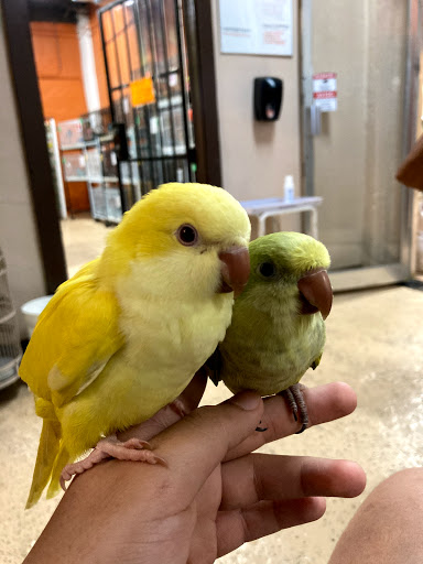 Bird Shop «The Aviary at Cauley Square», reviews and photos, 22400 Old Dixie Hwy, Miami, FL 33170, USA