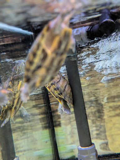 Pet Supply Store «Petco Animal Supplies», reviews and photos, 2241 Porter Creek Dr, Fort Worth, TX 76177, USA