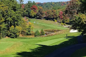 High Meadows Golf & Country Club image