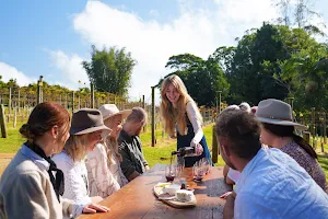 The Vino Bus | Wine Tours Brisbane & Gold Coast image