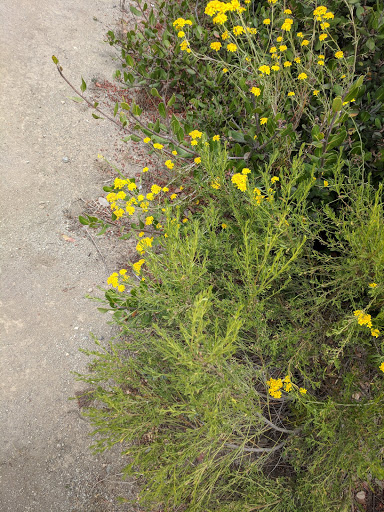 Cable Company «Time Warner», reviews and photos, 10450 Pacific Center Ct, San Diego, CA 92121, USA