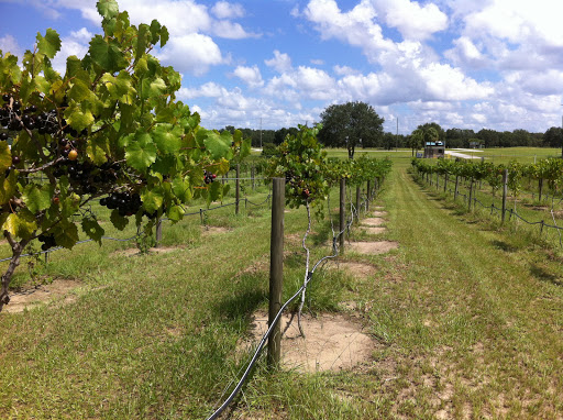 Winery «Hutchinson Farm Winery, LLC», reviews and photos, 8061 Stone Rd, Apopka, FL 32703, USA