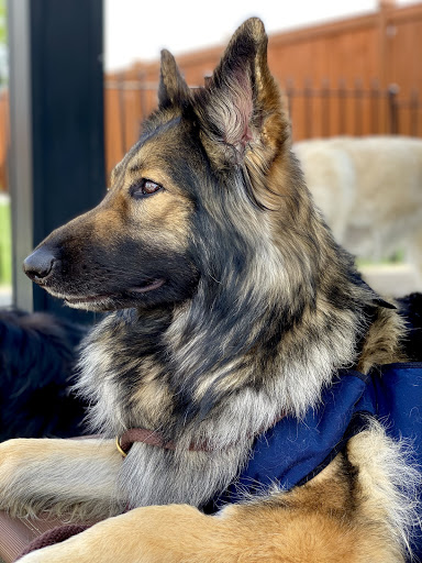 28801 WA-410, Buckley, WA 98321, USA