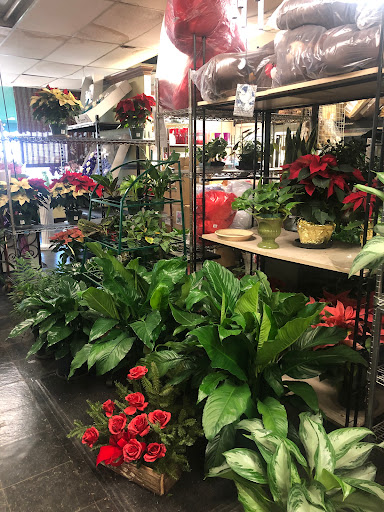 Florist «Hollywood Florist», reviews and photos, 1700 Stuyvesant Ave, Union, NJ 07083, USA