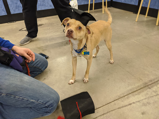 Pet Supply Store «PetSmart», reviews and photos, 475 Bank St, Waterbury, CT 06708, USA