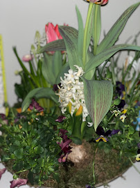 Blomsterhuset - Blomsterbutik