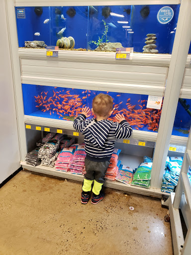 Pet Supply Store «PetSmart», reviews and photos, 9905 E Independence Blvd, Matthews, NC 28105, USA