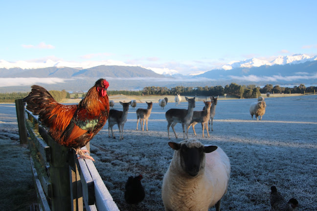 Dusky Ridges - Te Anau Bed and Breakfast, farmstay accommodation - Te Anau