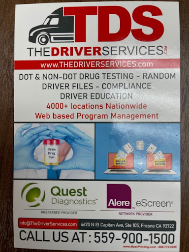 THE DRIVER SERVICES.COM LLC