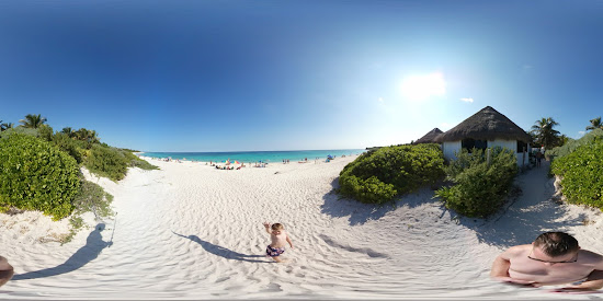 Tortuga Sanctuary