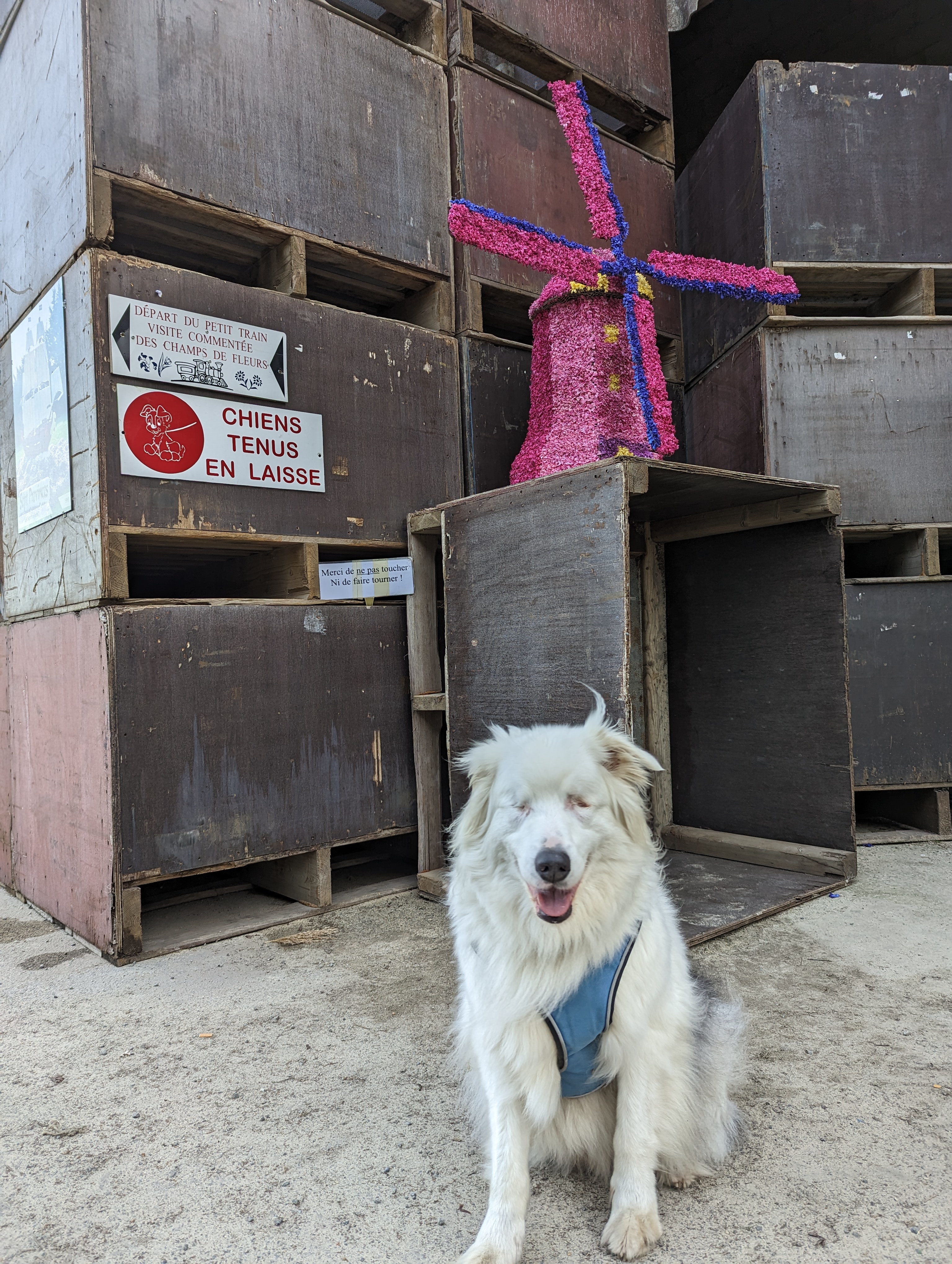 Photo n° 10 de l'avis de Jersey.h fait le 02/04/2023 à 21:00