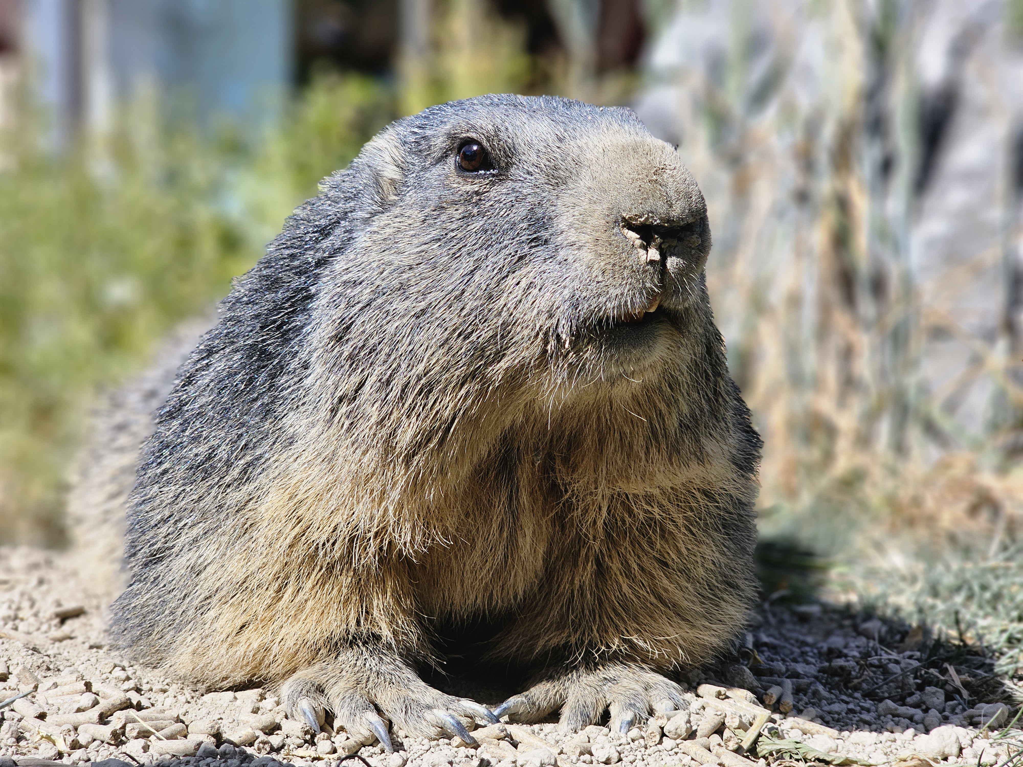 Photo n° 3 de l'avis de Jean-Luc.i fait le 18/08/2023 à 21:05