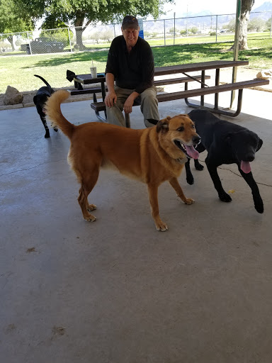 Park «Lewis Kingman Park», reviews and photos, 2201 E Andy Devine Ave, Kingman, AZ 86401, USA