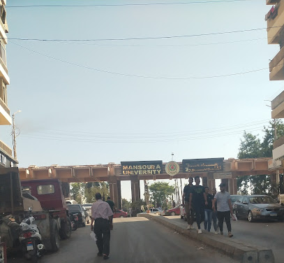 بوابة البارون جامعة المنصورة