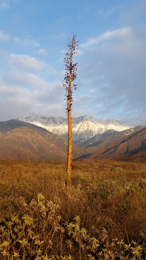 National reserve Pomona