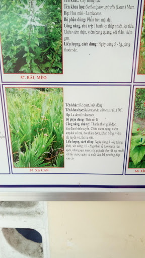 Chi Nhánh Công Ty Cổ Phần Tập Đoàn Hoa Sen Tại Tịnh Biên - An Giang