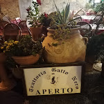 Photo n°2 de l'avis de Luca.o fait le 28/09/2020 à 16:19 sur le  Trattoria Gatto Nero à Pietrasanta