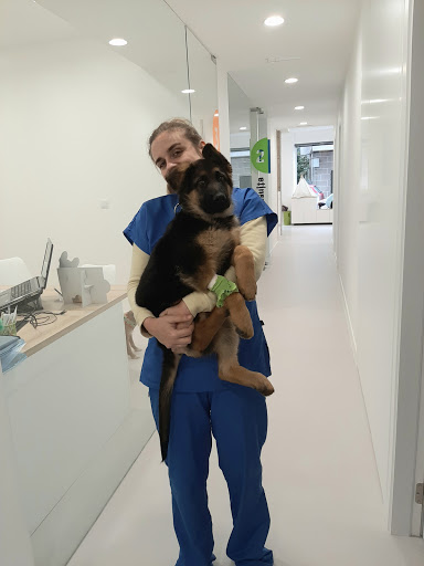 Clínica Veterinaria Vetersalud Cangas en Cangas