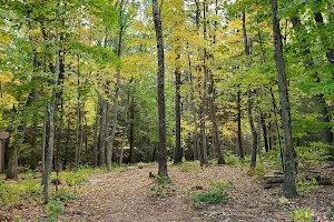 Crystal Pond Disc Golf Course image
