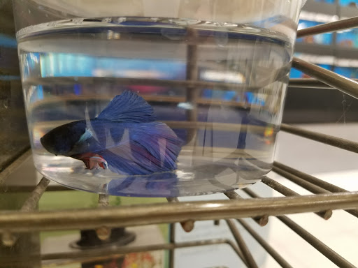 Pet Supply Store «Petco Animal Supplies», reviews and photos, 710 W 66th St, Richfield, MN 55423, USA