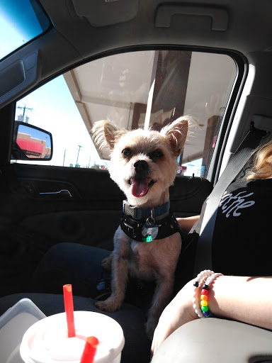 Pet Supply Store «PetSmart», reviews and photos, 860 NE Mall Blvd, Hurst, TX 76053, USA