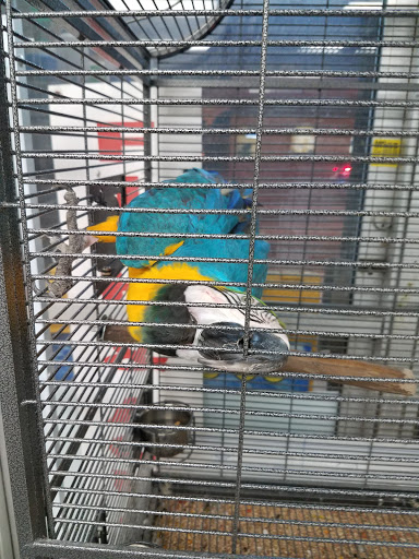 Pet Store «El Palomar Pet Shop Inc», reviews and photos, 4712 W Flagler St, Coral Gables, FL 33134, USA