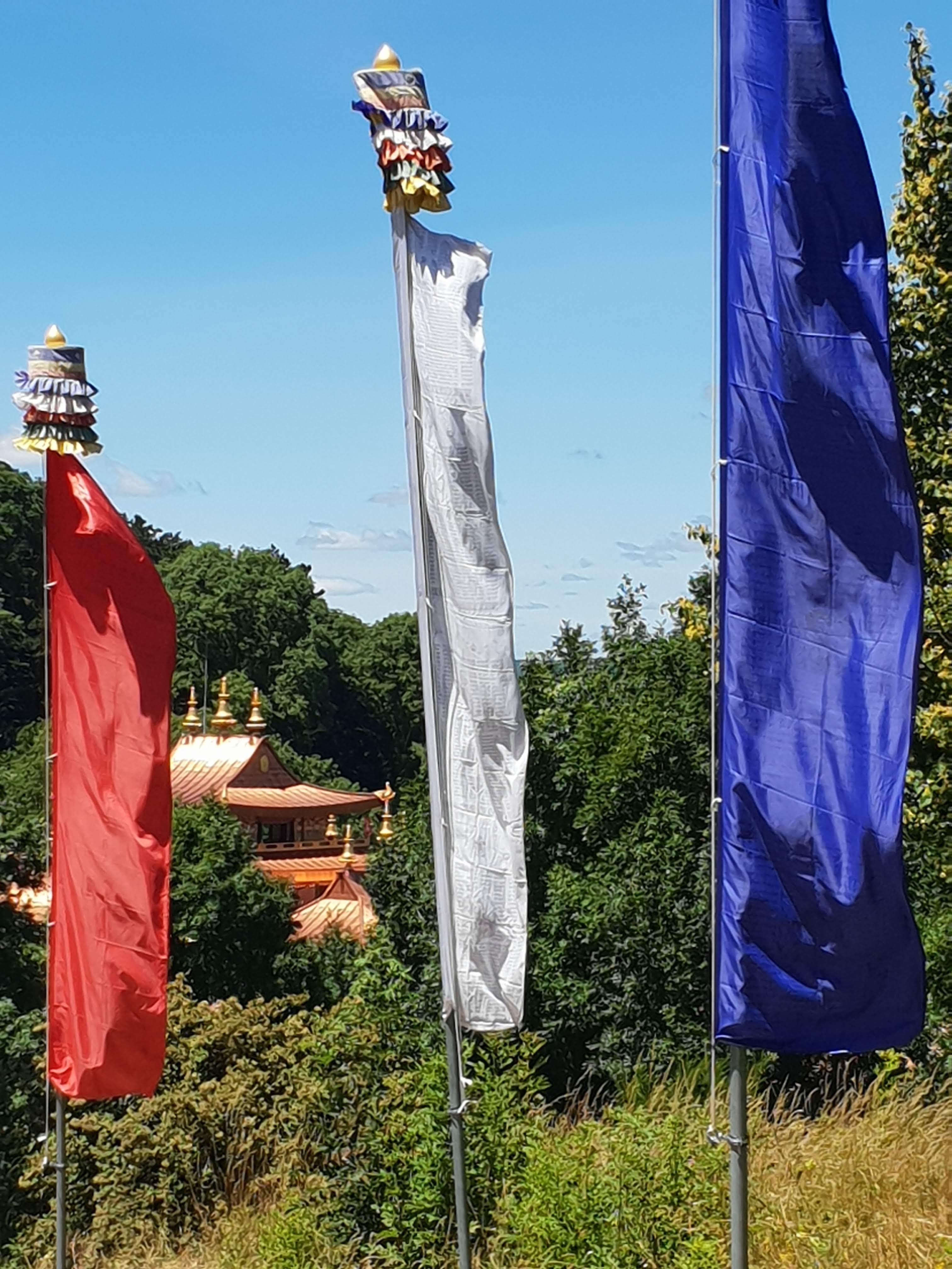 Photo n° 18 de l'avis de claire.I fait le 06/07/2020 à 04:50