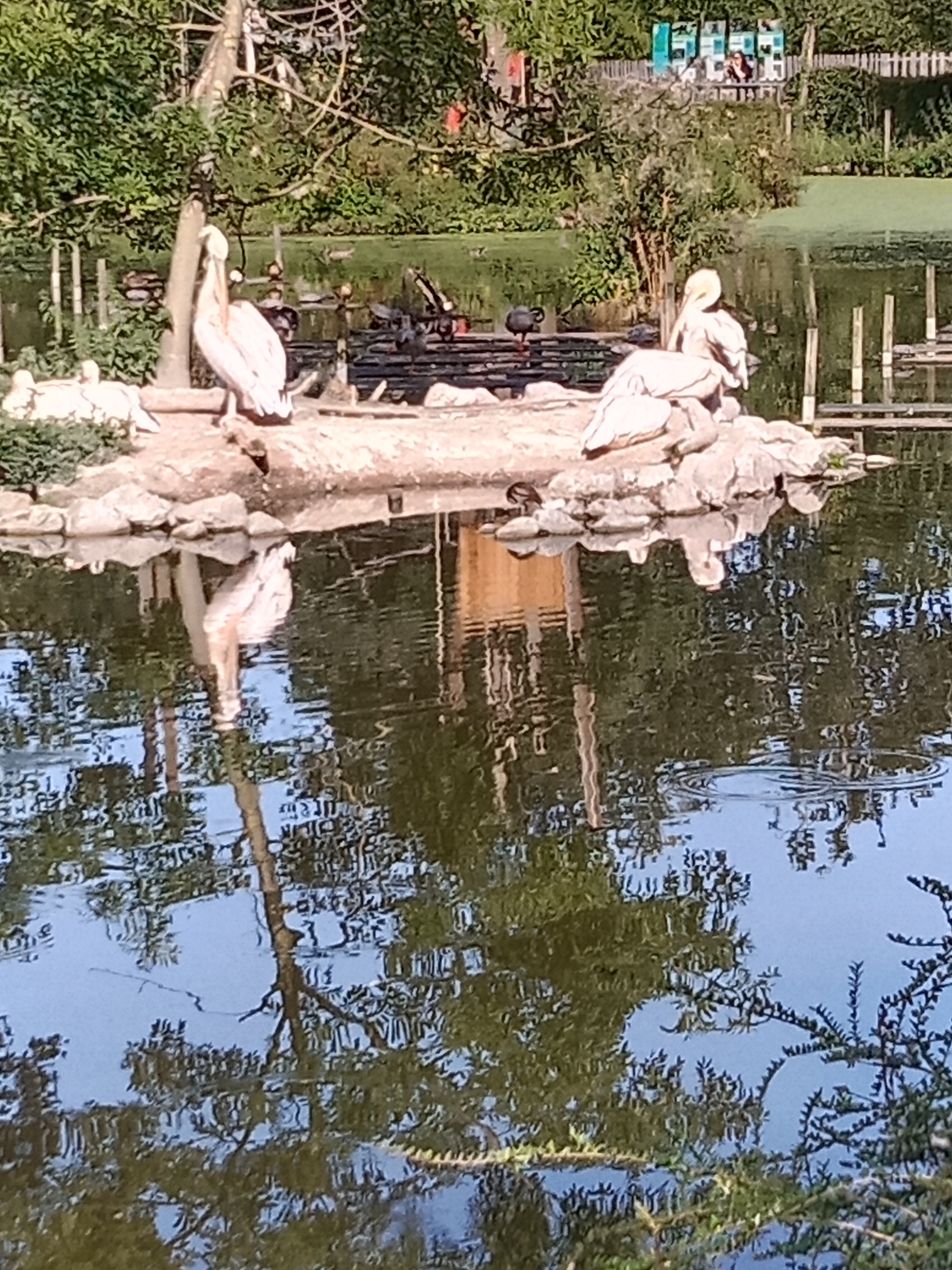 Photo n° 2 de l'avis de Sandrine.e fait le 10/08/2023 à 17:28
