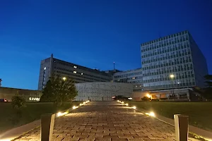 University Hospital of Nantes image