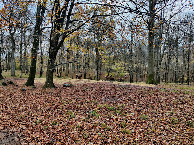 naturstyrelsen.dk