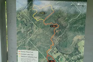 9 Mile River Trails image
