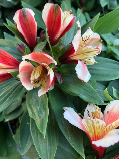 Home Improvement Store «The Home Depot», reviews and photos, 3700 NJ-35, Hazlet, NJ 07730, USA