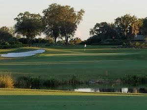 The Ritz-Carlton Members Golf Club - photo 33