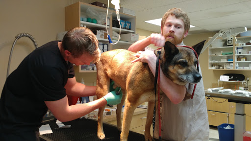 Affordable Pet Care image