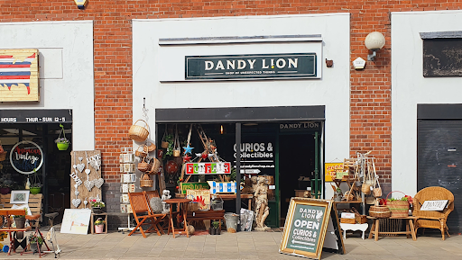 Dandy Lion Shop