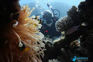 Red Sea Life Diving Center image