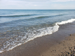 Lake Erie Beach'in fotoğrafı geniş bir kıyı şeridi ile birlikte
