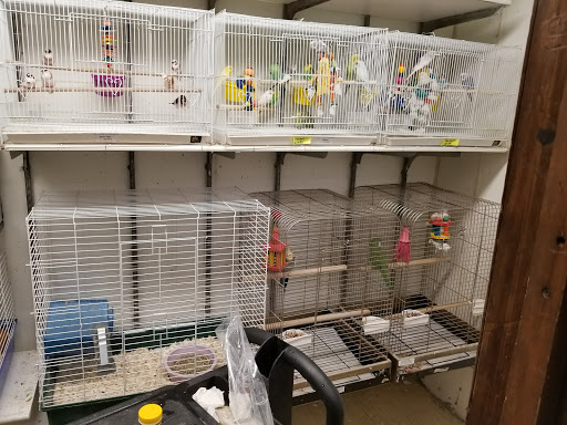 Pet Supply Store «Petland Discounts - Middle Village», reviews and photos, 6626 Metropolitan Ave, Middle Village, NY 11379, USA