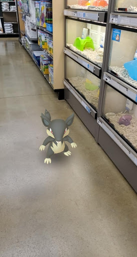 Pet Supply Store «Petco Animal Supplies», reviews and photos, 2640 W University Dr #1280, Denton, TX 76201, USA