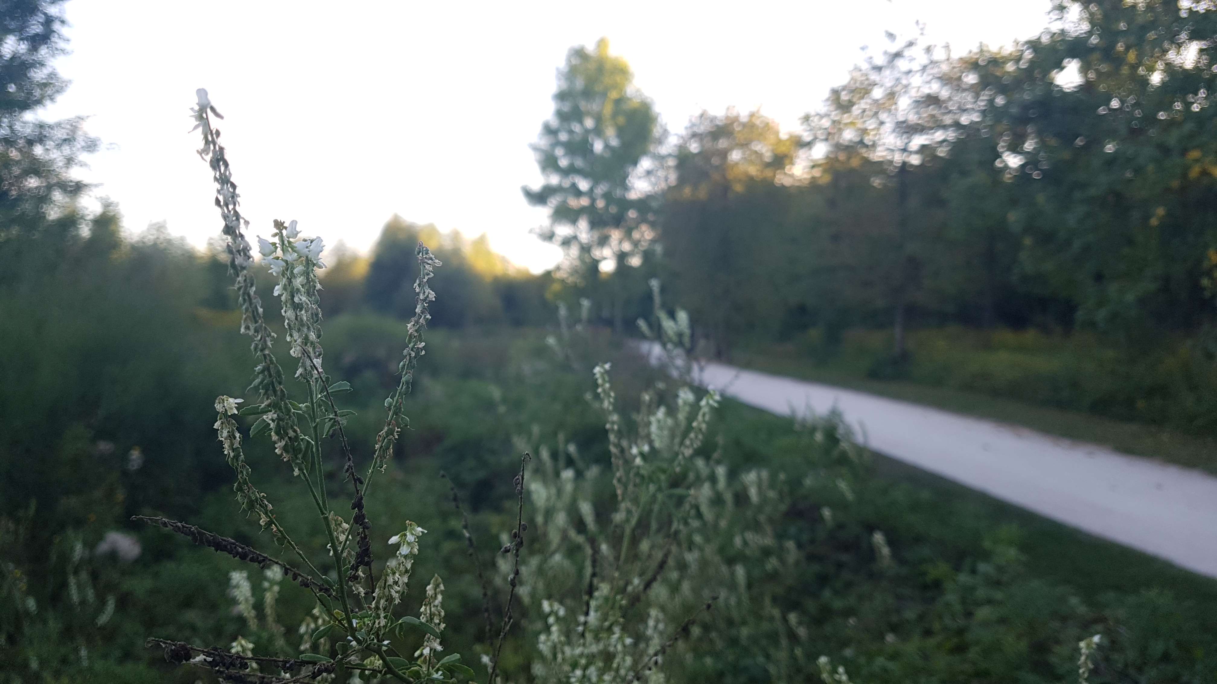 Photo n° 7 de l'avis de Sanjy.u fait le 20/09/2019 à 13:45
