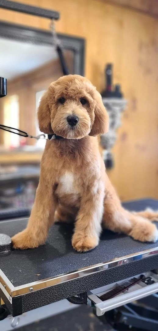 Kara Scissorhands Professional Pet Grooming Salon