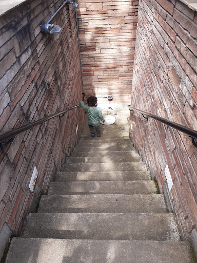 Natural History Museum «Rice Northwest Museum of Rocks & Minerals», reviews and photos, 26385 NW Groveland Dr, Hillsboro, OR 97124, USA