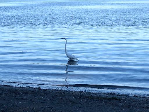 Park «Rose Larisa Park», reviews and photos, 701 Bullocks Point Ave, Riverside, RI 02915, USA