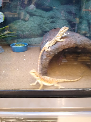 Pet Supply Store «Petco Animal Supplies», reviews and photos, 86 Storrs Rd, Mansfield Center, CT 06250, USA