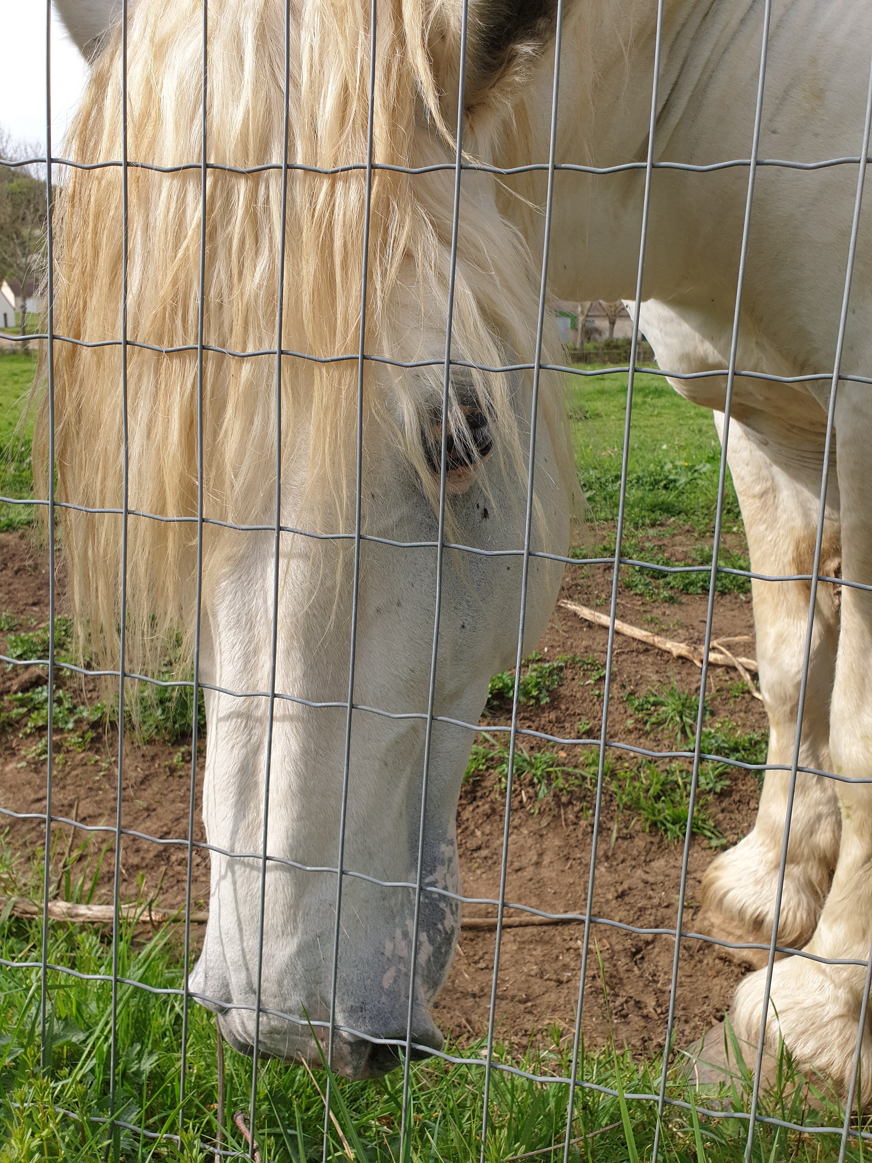 Photo n° 12 de l'avis de Cynthia.a fait le 23/04/2019 à 23:37