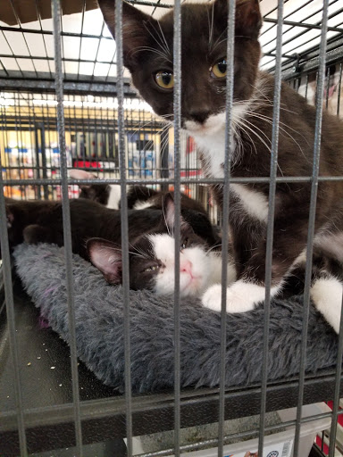 Pet Supply Store «Pet Food Center», reviews and photos, 4036 N First Ave, Evansville, IN 47710, USA