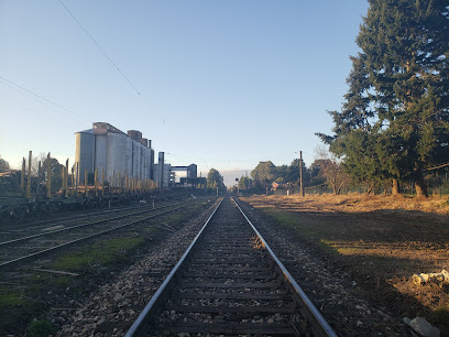 Estacion Trenes Lautaro