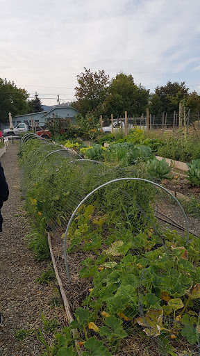 Social Services Organization «Helena Food Share», reviews and photos