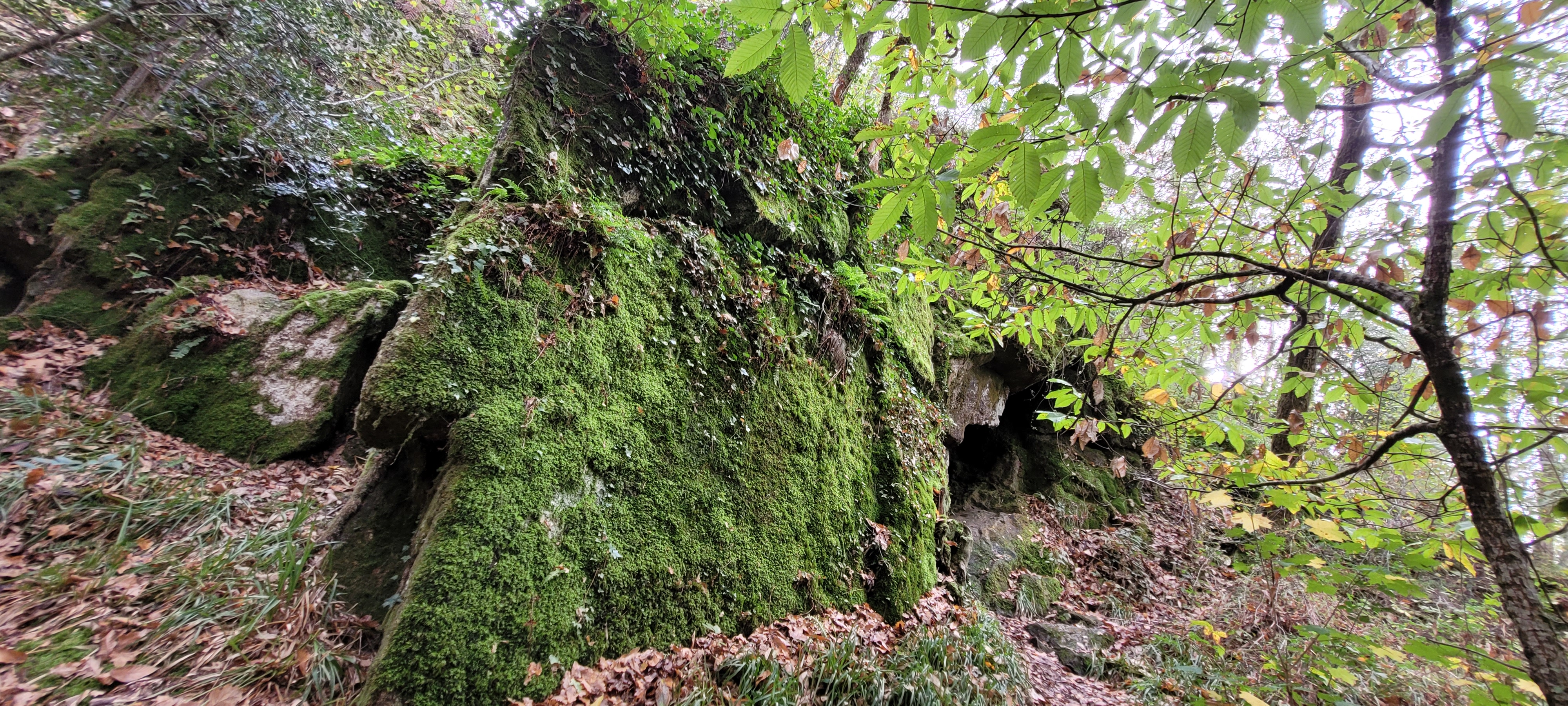 Photo n° 21 de l'avis de Christian.a fait le 30/10/2022 à 11:08