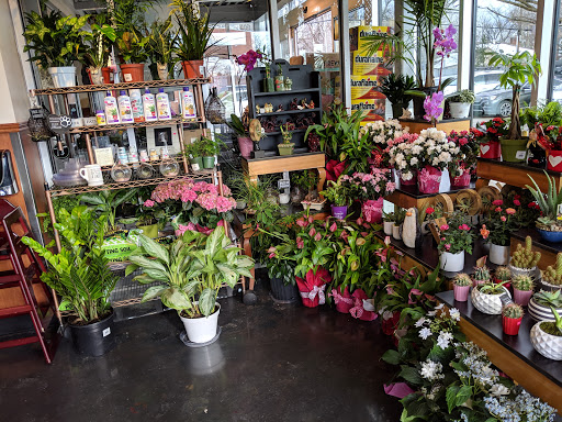 Grocery Store «Harmons Emigration Market», reviews and photos, 1706 1300 S, Salt Lake City, UT 84108, USA